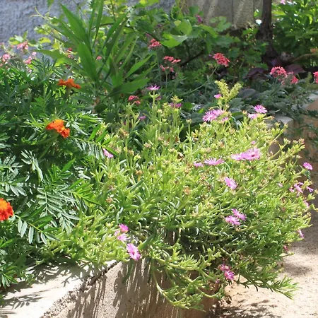 By The Sea Tkon, Pasman - 8218 Διαμέρισμα Kraj (Zadar)